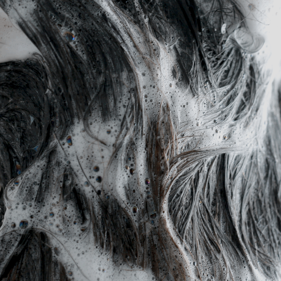 shampoo foam stock image